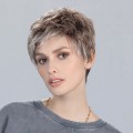 Perruque Chat — Collection Perucci Ellen Wille Ellen Wille