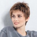 Perruque Chat — Collection Perucci Ellen Wille Ellen Wille